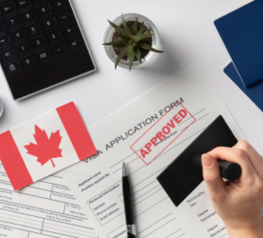 Immigration dependent visa process explained visually
